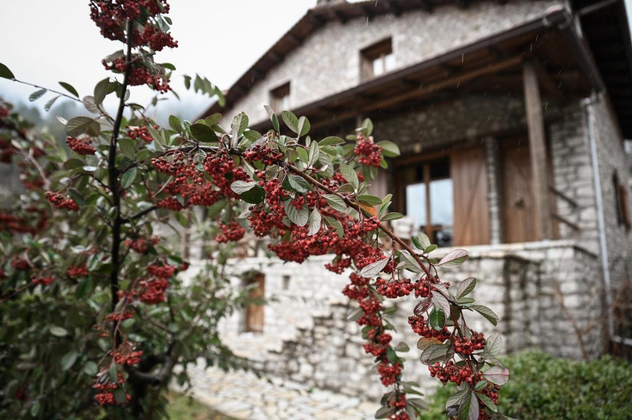 Petrina Theohari Villa Lekhouri Buitenkant foto